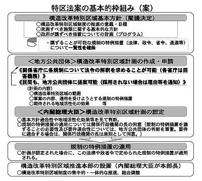 特区法案の基本的枠組み(案)