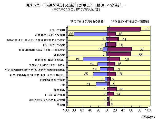 構造改革−「前進が見られる課題」と「重点的に推進すべき課題」−