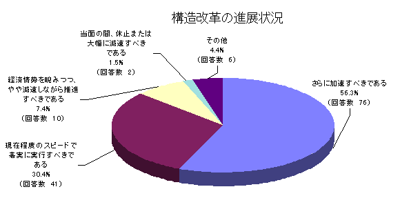 構造改革の進展状況