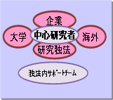 바카라 사이트
