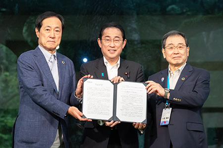 라이브 바카라