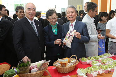 바카라 카지노