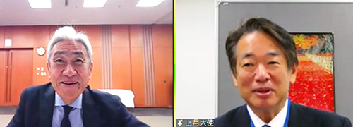 메이저 바카라