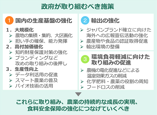 메이저 메이저 바카라