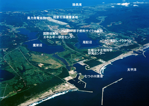 Muts 바카라 카지노 카지노 Development Project